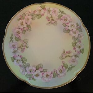 Vintage J & C (Jaegar & Co) Louise Bavaria hand painted Wild Roses Plate